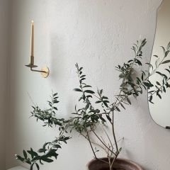 Classic Accents Brass Plated Taper Wall Sconce