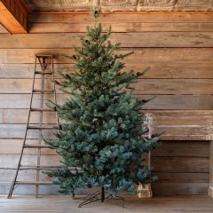 Classic Lighted Spruce Christmas Tree