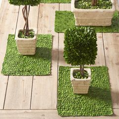 Classic Preserved Boxwood Placemat