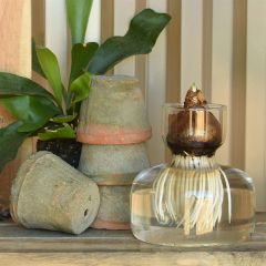 Clear Glass Wide Bottom Bulb Vase