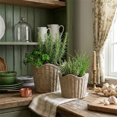Country Hearth Scalloped Cement Basket Planters Set of 2