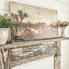 Cows In Pasture Canvas Print