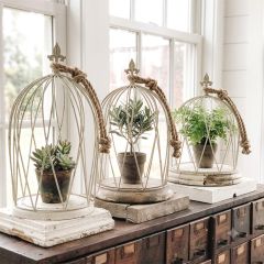 Crown Style Decorative Cloche Set of 3