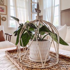 Crown Style Decorative Cloche