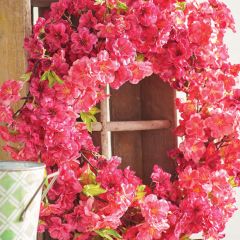 Cherry Blossom Bright Wreath