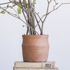 Terracotta Clay Pot