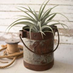Rustic Water Bucket Planter