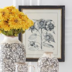 Dark Framed Botanicals Set of 4