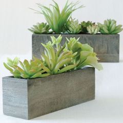 Faux Succulents in Wood Box Set of 2