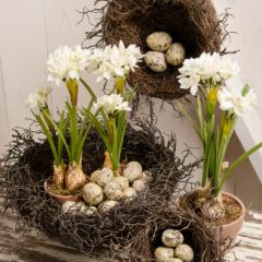 Faux Clay Potted Narcissus