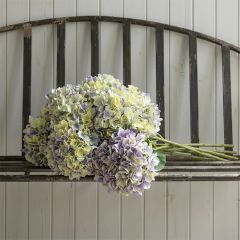 Delicate Pastel Hued Hydrangea Stem Set of 6