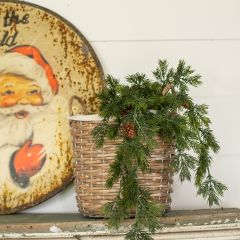 Draping Lush Green Pine Spray
