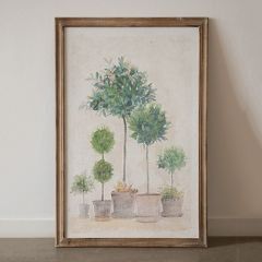 Framed Topiaries Wall Art