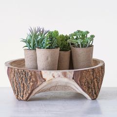 Paper Potted Faux Succulents Set of 6