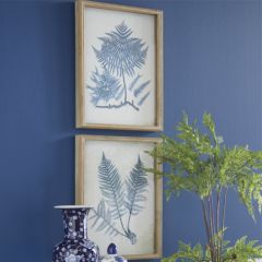 framed-fern-print-shadow-box-set-of-2