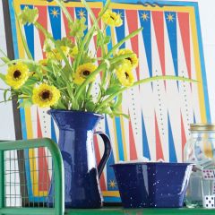 Old Fashioned Enameled Pitcher