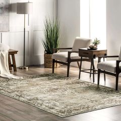 Faded Floral Medallion Area Rug