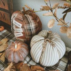 Fall Farmhouse Tan Ticking Stripe Pumpkin