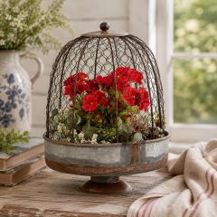 Farmhouse Chicken Wire Dome Planter