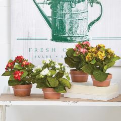 Faux Kalanchoe With Pot Set of 4
