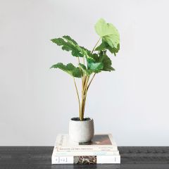 Faux Leafy Plant In Cement Pot