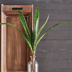 Faux Snake Plant Stem