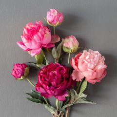 Faux Summer Peony Set of 3