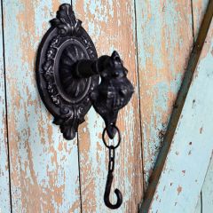 Seashell Wall Hook