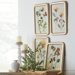 Framed Pressed Botanical Prints Set of 4