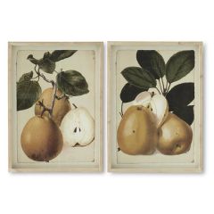 Framed Wooden Pear Prints Set of 2