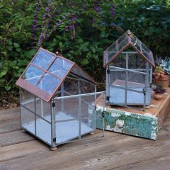 Galvanized Frame Farmhouse Terrarium Set of 2