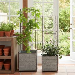 Galvanized Metal Planter With Trellis Set of 2