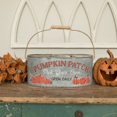 Galvanized Pumpkin Patch Divided Bucket