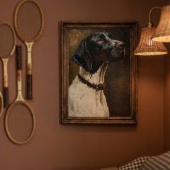 German Shorthair Pointer Fine Art Print