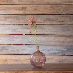 Glass Rose Bottle Vase 12.5 inch