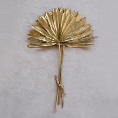 Gold Finish Dried Palm Stem