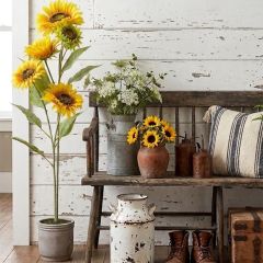 Golden Meadow Potted Sunflower 36 Inch