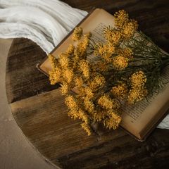 Golden Meadow Queen Anne's Lace Bundle Set of 4