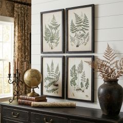 Green Haven Fern Framed Prints Set of 4