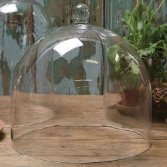 Handled Glass Dome 11.5 Inch