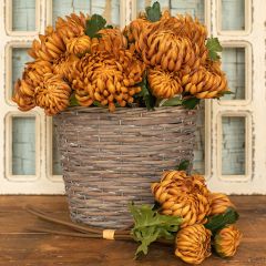 Harvest Season Mum Stem Bundle