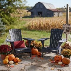 Heritage Farm Black Adirondack Chair Set of 2