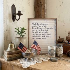 I Pledge Allegiance On Paper Framed Wall Decor