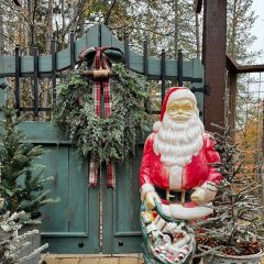 HUGE Iced Weeping Cedar and Cone Wreath