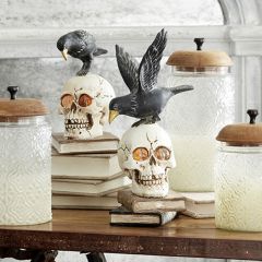 LED Skull With Crow Set of 2