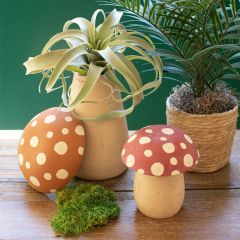 Lidded Mushroom Canisters Set of 2