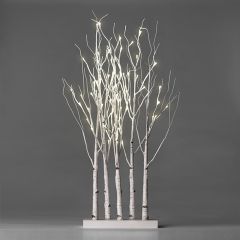 Lighted Birch Tree Grove