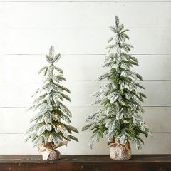 Lighted Flocked Pine Tree in Bag