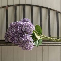 Lovely Lavender Hydrangea Stem Set of 3