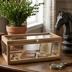 Mango Wood Glass Panel Display Box